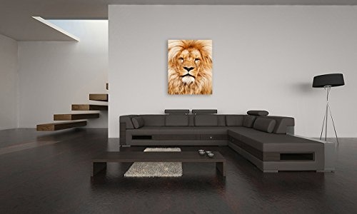 Bilderfabrik - Tierbild (Löwe) auf Leinwand und Holzkeilrahmen bespannt. Beste Qualität, handgefertigt in Deutschland. (40x60 cm)