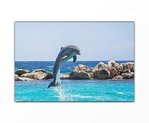 Bilderfabrik Naturbild - Delphin - auf Leinwand und...