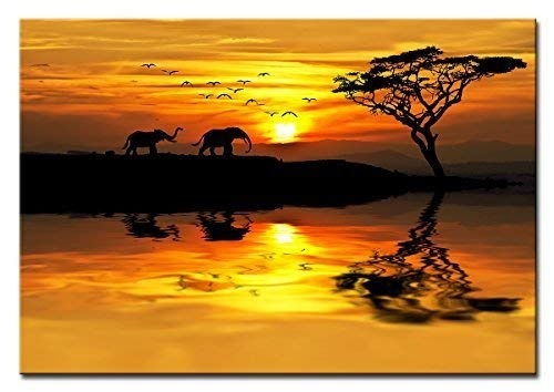 BILDERFABRIK - Wandbild Afrika 40 x 60 cm als XXL...