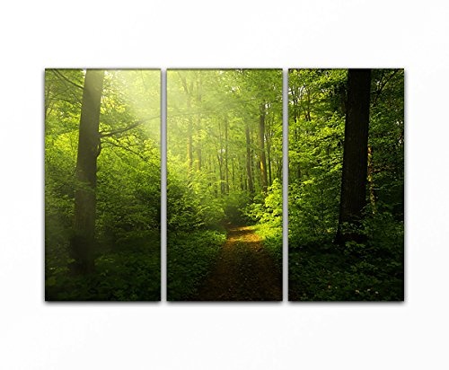 Bilderfabrik - Naturbild - Waldweg - auf Leinwand und Holzkeilrahmen bespannt. Beste Qualität, handgefertigt in Deutschland. (3X 50x90 cm)