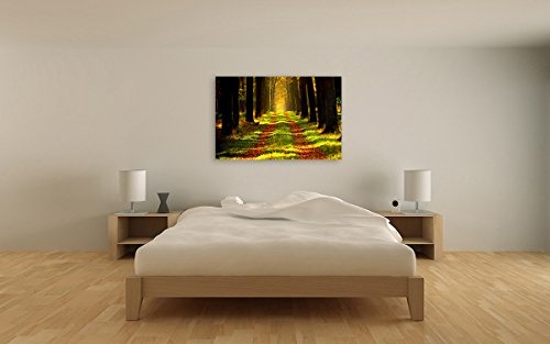 Bilderfabrik - Naturbild (Waldweg) auf Leinwand und Holzkeilrahmen bespannt. Beste Qualität, handgefertigt in Deutschland. (60x80 cm)