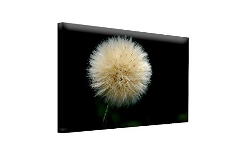 Bilderfabrik - Bild - Blume - auf Leinwand und Holzkeilrahmen bespannt. Beste Qualität, handgefertigt in Deutschland. (80x120 cm)
