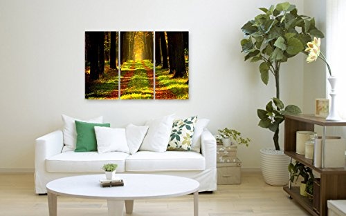 Bilderfabrik - Naturbild (Waldweg) auf Leinwand und Holzkeilrahmen bespannt. Beste Qualität, handgefertigt in Deutschland. (3x 40x80 cm)
