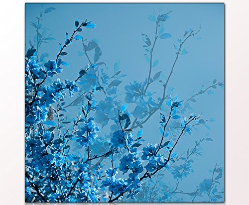 BERGER DESIGNS - Naturbild "blue Flowers spring" 80 x 80cm auf Leinwand und Holzkeilrahmen (Natur, Blüten, Blätter, Bäume, Sträucher, Garten, Frühling) - Beste Qualität, handgefertigt in Deutschland - Ganz einfach auspacken, aufhängen und freuen