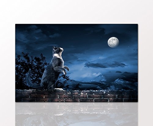 Berger Designs Wandbild Cat looking at the moon 70x110 cm auf Leinwand und Holzkeilrahmen - Beste Qualität, handgefertigt in Deutschland