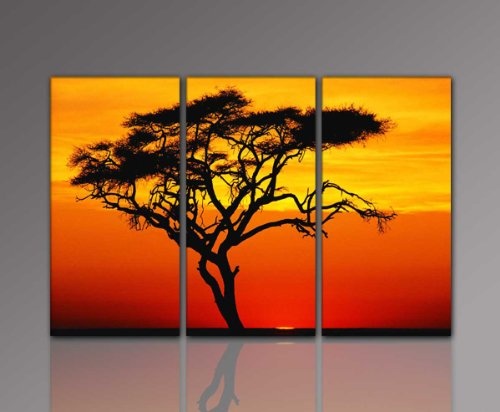 Berger Designs Foto Bild 3 teilig xxl (African Tree 3 x 40x80 cm) Bild auf echter Leinwand als Kunstdruck mit Rahmen aus Holz. Made in Germany - Qualität aus Deutschland