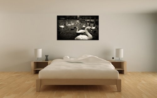 SENSATIONSPREIS! Bild auf Leinwand - modern Art Design (City _to_Coast-70x100cm) Kunstdruck auf Rahmen mit Bilder Motiv (Stadt Küste See Schwäne Vögel schwarz/weiß) . Schnäppchen, ideal als Geschenk für Familie & Freunde. Schöner wohnen mit Foto als Bild