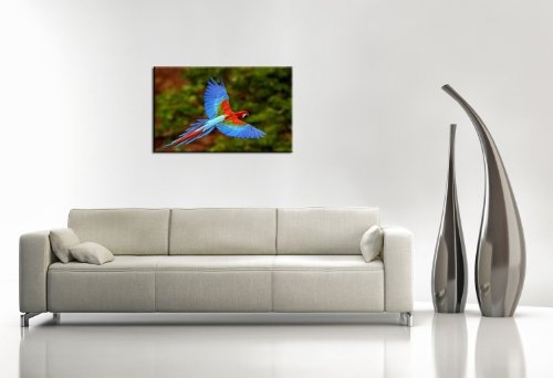 Berger Designs Bild auf echter Leinwand BESPANNT & GERAHMT (Exotic Parrot 90x120 cm) Bilder fertig gerahmt mit Keilrahmen. Ausführung Kunstdruck als Wandbild mit Rahmen.