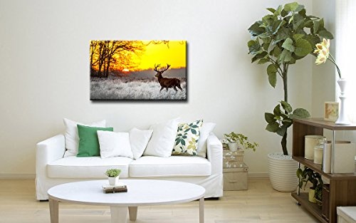 Berger Designs - Bild auf Leinwand als Kunstdruck in verschiedenen Größen. Prächtiger Hirsch im Sonnenuntergang. Beste Qualität aus Deutschland (90 x 70 cm (BxH))