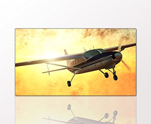 BERGER DESIGNS - Wandbild "Cessna Plane" 50 x...