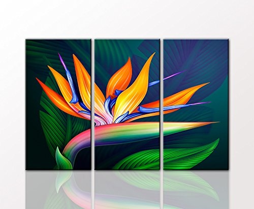 Berger Designs Blumenbild als 3 teiliger Kunstdruck strelitzia 80 x 125 cm (3 x 40x80 cm) auf Leinwand und Holzkeilrahmen - Beste Qualität, handgefertigt in Deutschland