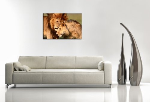 BERGER DESIGNS - Bild auf Leinwand - modern Art Design (Lions of love 60x80 cm) Kunstdruck auf Rahmen mit Bilder Motiv (Tiere Löwe Löwin Tierliebe Raubkatzen Afrika Safari). 100% Made in Germany - Qualität aus Deutschland.