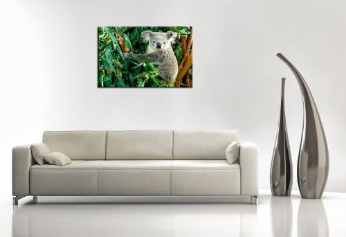 Berger Designs Tierbild Foto (koala-60x80cm) Bild auf Leinwand als Kunstdruck mit Rahmen aus Holz. Bild Motiv (Koala Beutelbär Blätter Äste).100% Made in Germany - Qualität aus Deutschland.