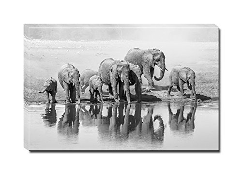 Berger Designs - Wandbild auf Leinwand als Kunstdruck in verschiedenen Größen. Elefanten Familie am Wasserloch. Beste Qualität aus Deutschland (120 x 80 cm BxH)