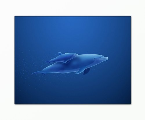BERGER DESIGNS - Bild auf Leinwand - modern Art Design (Dolphins - 60x80 cm) Kunstdruck auf Rahmen mit Bild Motiv (Tiere Delfine Mutter Kind Unterwasserwelt blau). 100% Made in Germany - Qualität aus Deutschland.