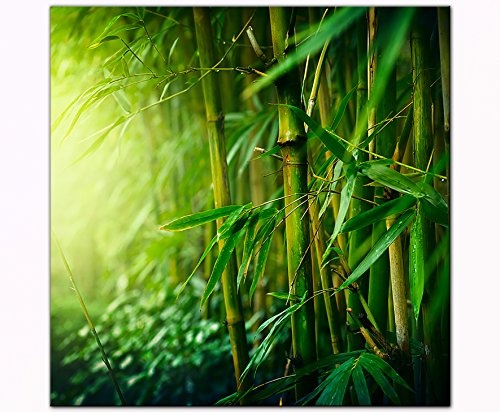 Berger Designs - Bild auf Leinwand als Kunstdruck 40 x 40 cm. Wandbild Natur Bambus. Beste Qualität aus Deutschland