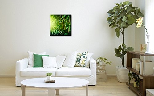 Berger Designs - Bild auf Leinwand als Kunstdruck 40 x 40 cm. Wandbild Natur Bambus. Beste Qualität aus Deutschland