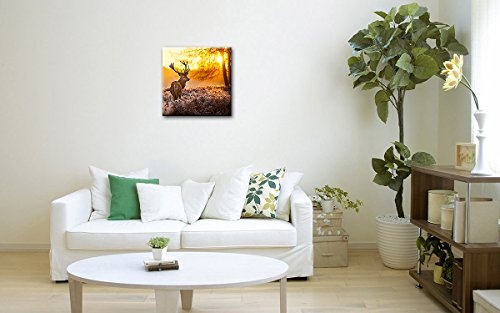 Berger Designs - Bild auf Leinwand als Kunstdruck 40 x 40 cm. Wandbild Hirsch im Sonnenuntergang. Beste Qualität aus Deutschland