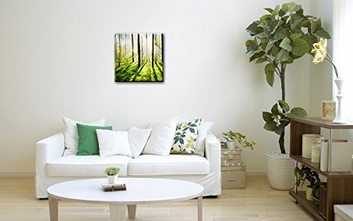 Berger Designs - Bild auf Leinwand als Kunstdruck 40 x 40 cm. Wandbild Wald Sonnenuntergang. Beste Qualität aus Deutschland