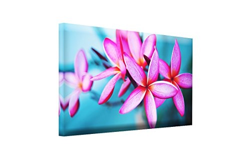 Bilderfabrik - Kunstdruck Blüten - auf Leinwand und Holzkeilrahmen bespannt. Beste Qualität, handgefertigt in Deutschland. (80x120 cm)