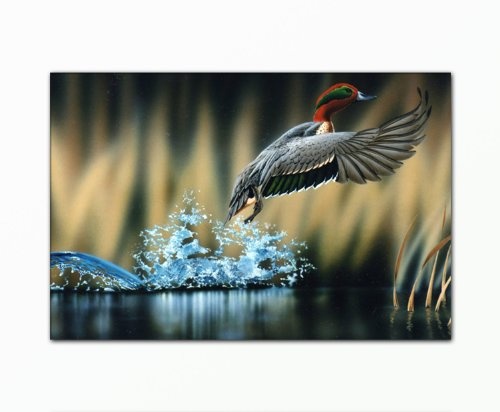 SENSATIONSPREIS! Bild auf Leinwand - modern Art Design (wild_life-80x120cm) Kunstdruck auf Rahmen mit Bilder Motiv (Tiere Ente Wasser Schilf Natur) . Schnäppchen, ideal als Geschenk für Familie & Freunde. Schöner wohnen mit Foto als Bild - Picture at Home