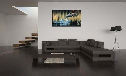 SENSATIONSPREIS! Bild auf Leinwand - modern Art Design (wild_life-80x120cm) Kunstdruck auf Rahmen mit Bilder Motiv (Tiere Ente Wasser Schilf Natur) . Schnäppchen, ideal als Geschenk für Familie & Freunde. Schöner wohnen mit Foto als Bild - Picture at Home