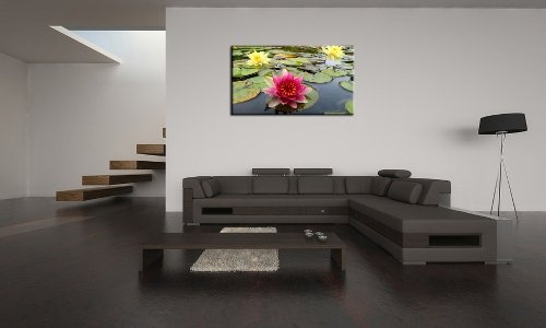 Berger Designs Bild Foto (Water_lilies-70x110cm)...