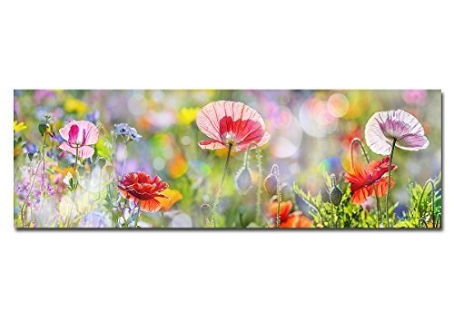 Bilderfabrik - Naturbild Wiese mit Blumen 30x90 cm als...