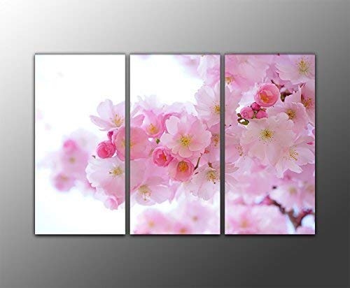 Bilderfabrik - Naturbild - japanische Kirschblüten - Druck auf Leinwand und Holzkeilrahmen bespannt. Beste Qualität, handgefertigt in Deutschland. (3X 40x80 cm)