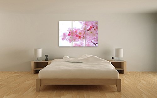 Bilderfabrik - Naturbild - japanische Kirschblüten -...