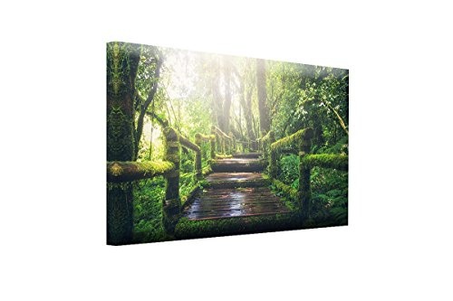 BILDERFABRIK - Wand-Bild Wald-Treppe 80 x 120 cm in verschiedenen Größen wählbar als Kunstdruck auf Leinwand und Holzkeilrahmen I Moderne Drucktechnik für ein detailreiches Erlebnis (80 x 120 cm)