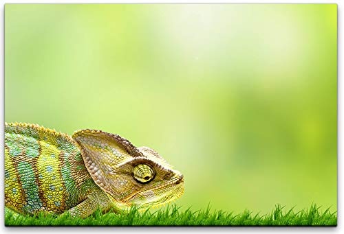 bestforhome 180x120cm Leinwandbild grüner Chameleon im grünen Gras Leinwand auf Holzrahmen
