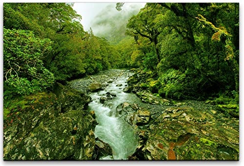 bestforhome 150x100cm Leinwandbild tropischer Bach im Dschungel Leinwand auf Holzrahmen