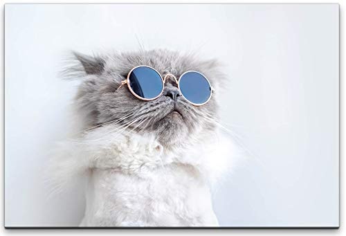 bestforhome 180x120cm Leinwandbild Katze mit Sonnenbrille Leinwand auf Holzrahmen