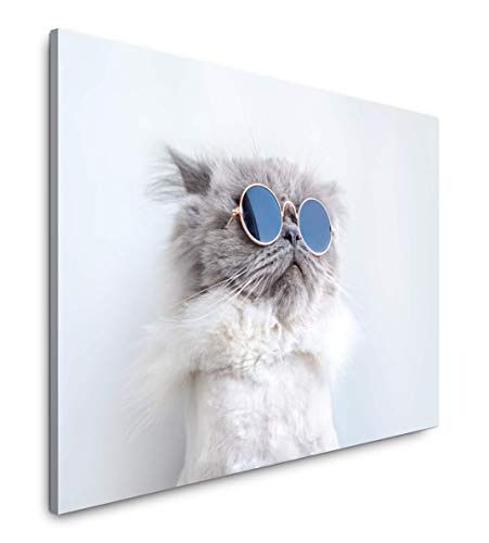 bestforhome 180x120cm Leinwandbild Katze mit Sonnenbrille Leinwand auf Holzrahmen