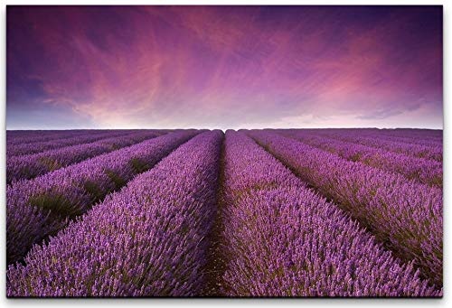 bestforhome 150x100cm Leinwandbild lila Lavendel am blühen im Sommer Leinwand auf Holzrahmen