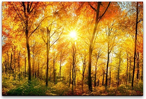 bestforhome 90x60cm Leinwandbild Herst im Wald mit gelben und roten Blättern Leinwand auf Holzrahmen
