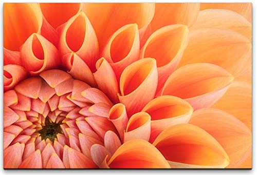 bestforhome 90x60cm Leinwandbild orange Blüte von der Chrysantheme Nahaufnahme Leinwand auf Holzrahmen