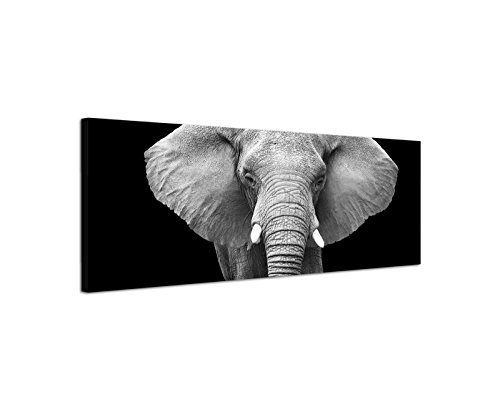 Wandbild auf Leinwand als Panorama in 120x40 cm Elefant in schwarz weiß von vorn ! Großaufnahme! Afrika! Stoßzähne und sein Rüssel in Nahaufnahme!