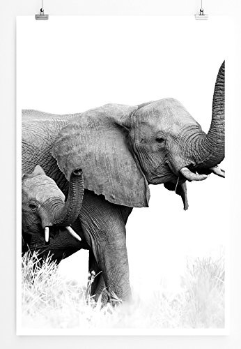 Best for home Artprints - Tierfotografie - Elefant mit...