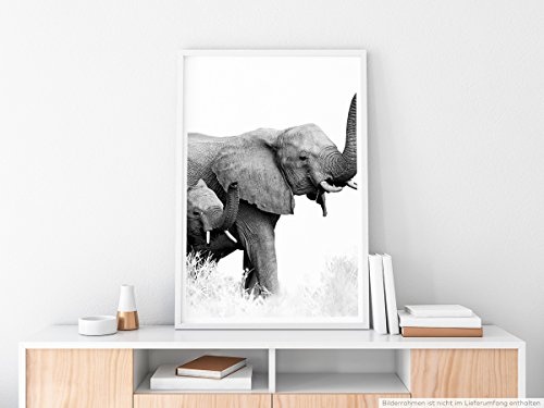 Best for home Artprints - Tierfotografie - Elefant mit Jungen in Akrika - Fotodruck in gestochen scharfer Qualität