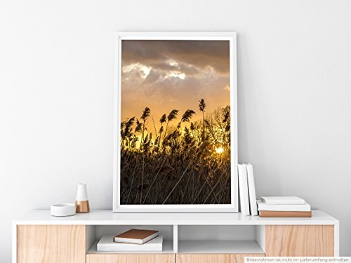 Best for home Artprints - Art - Halme im Wind- Fotodruck in gestochen scharfer Qualität
