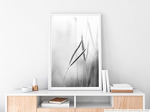 Best for home Artprints - Kunstbild - Grashalme im Wind - Fotodruck in gestochen scharfer Qualität