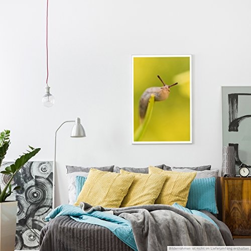 Best for home Artprints - Tierfotografie - Nacktschnecke vor gelbem Hintergrund- Fotodruck in gestochen scharfer Qualität