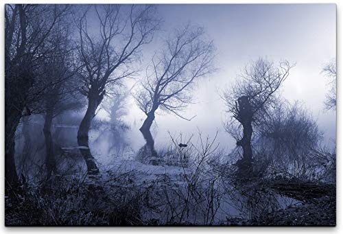 bestforhome 120x80cm Leinwandbild Mystic Bäume im Sumpf bei Nebel Leinwand auf Holzrahmen