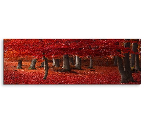 Modernes Bild 120x40cm Landschaftsfotografie - Wald mit rotem Laub