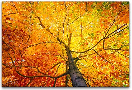 bestforhome 150x100cm Leinwandbild Baum im Herbst mit...