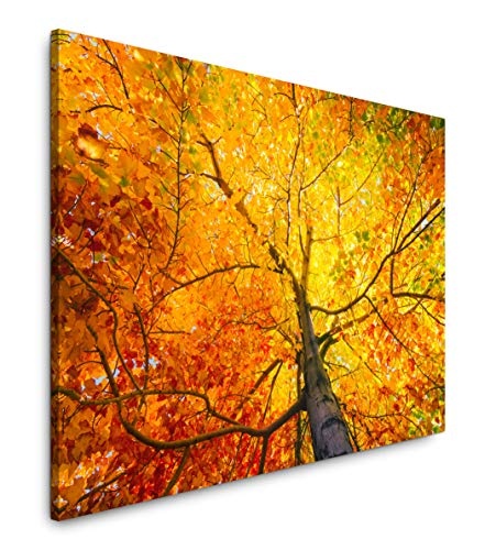 bestforhome 150x100cm Leinwandbild Baum im Herbst mit gelben und roten Blättern Leinwand auf Holzrahmen