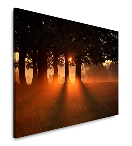 bestforhome 150x100cm Leinwandbild Bäume bei Sonnenuntergamg Leinwand auf Holzrahmen