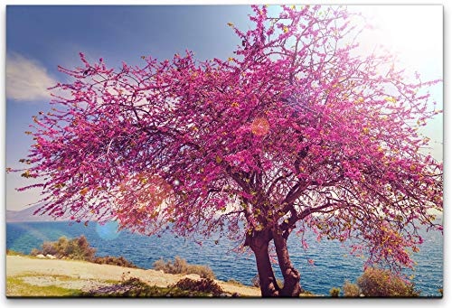 bestforhome 180x120cm Leinwandbild Baum mit pinken Blüten am Meer Leinwand auf Holzrahmen